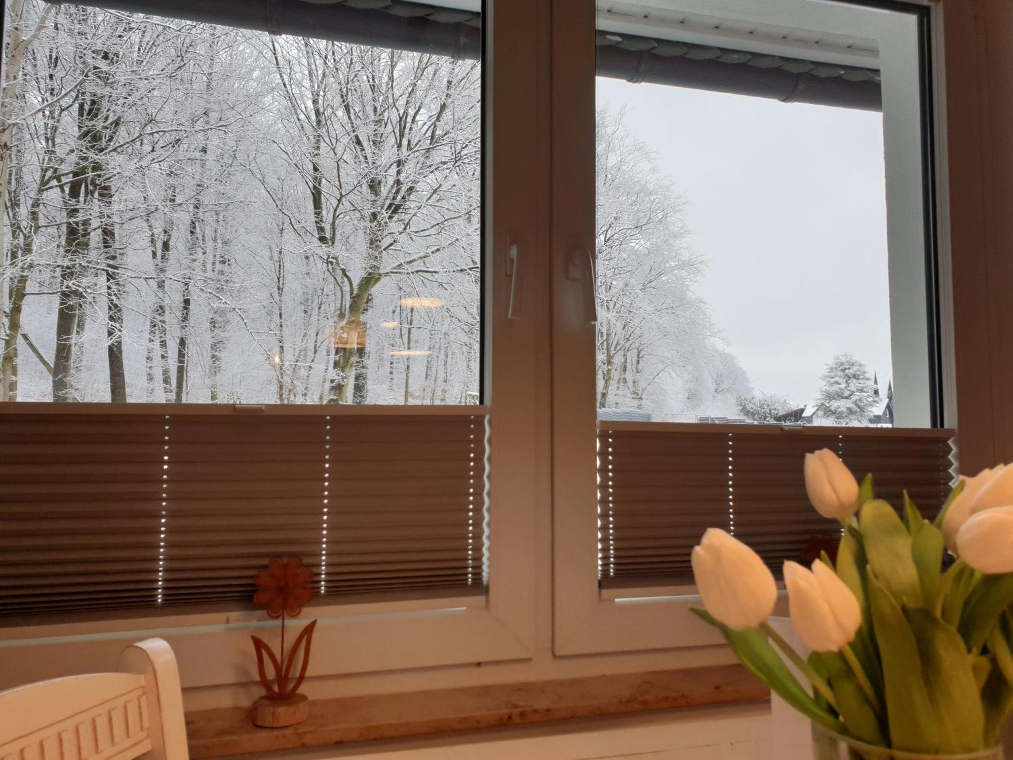 Fewo Winter In Der Villa Waldrand Mit Zwei Balkonen Bad Wünnenberg Zewnętrze zdjęcie